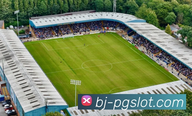 麻将胡了PG官网平台生态图