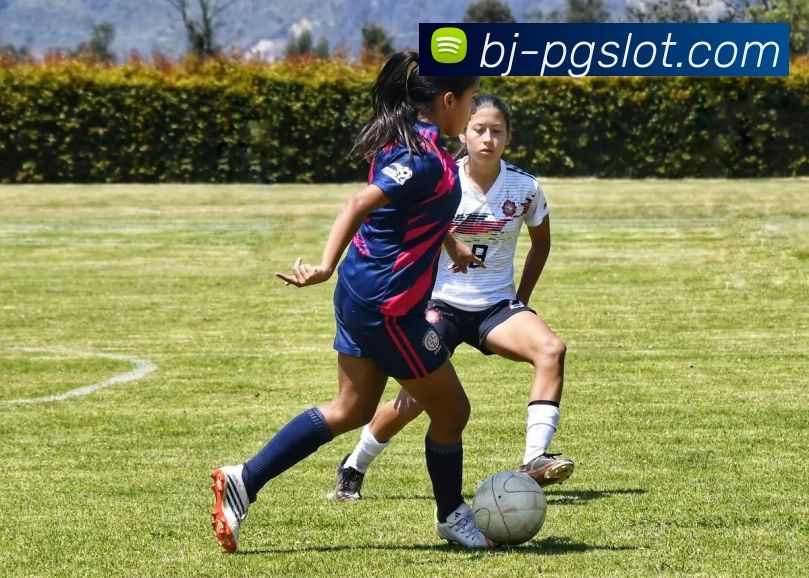 麻将胡了PG官网APP 封面图